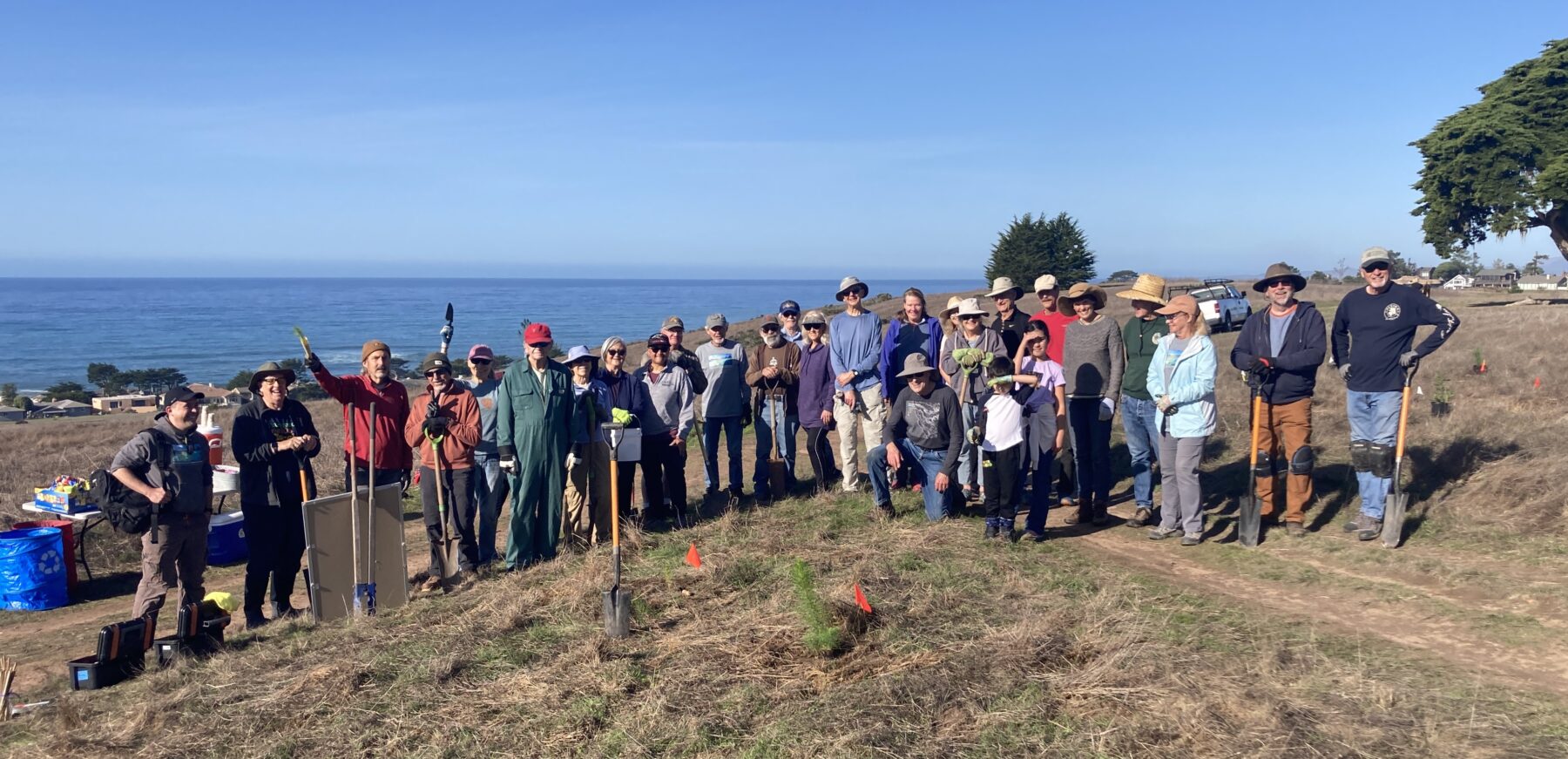 Friends of the Fiscalini Ranch Preserve ends 2024 with Forest Planting and Looks Forward to 2025