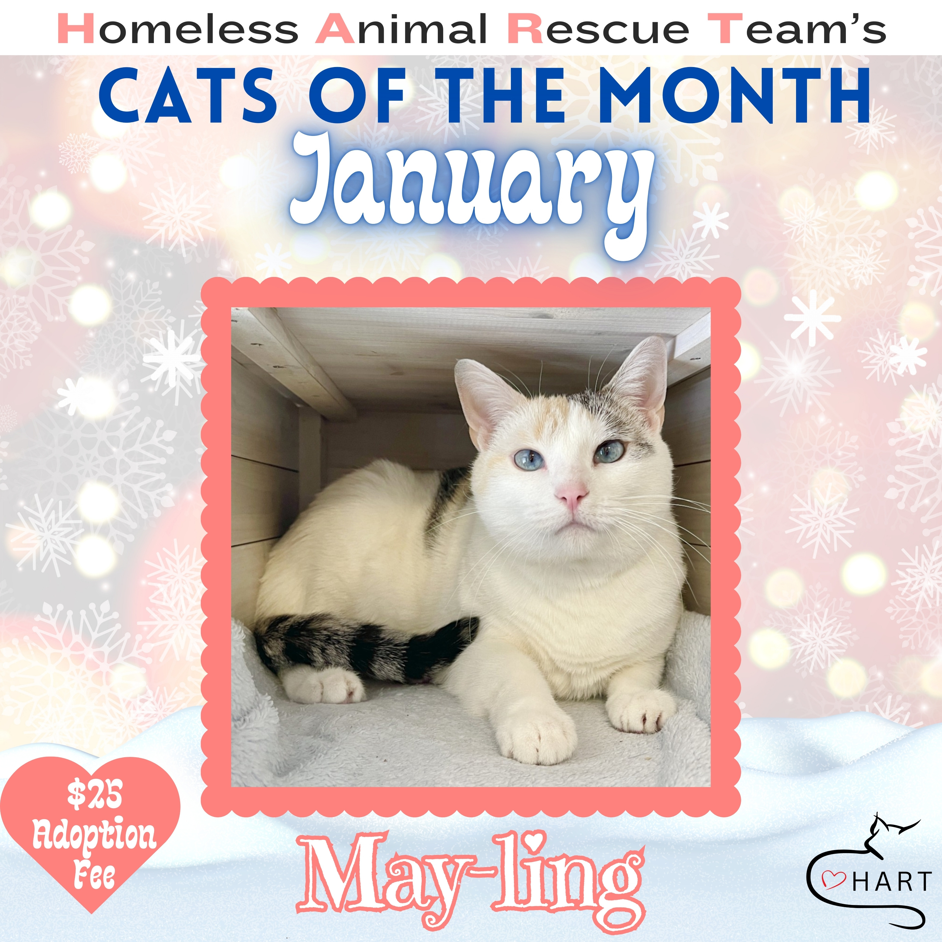 May-ling is HART’s January Cat-of-the-Month