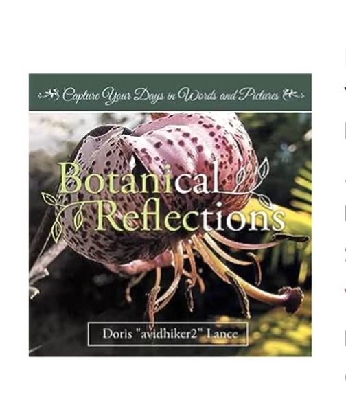Discover and Explore Healing Through Nature Photography