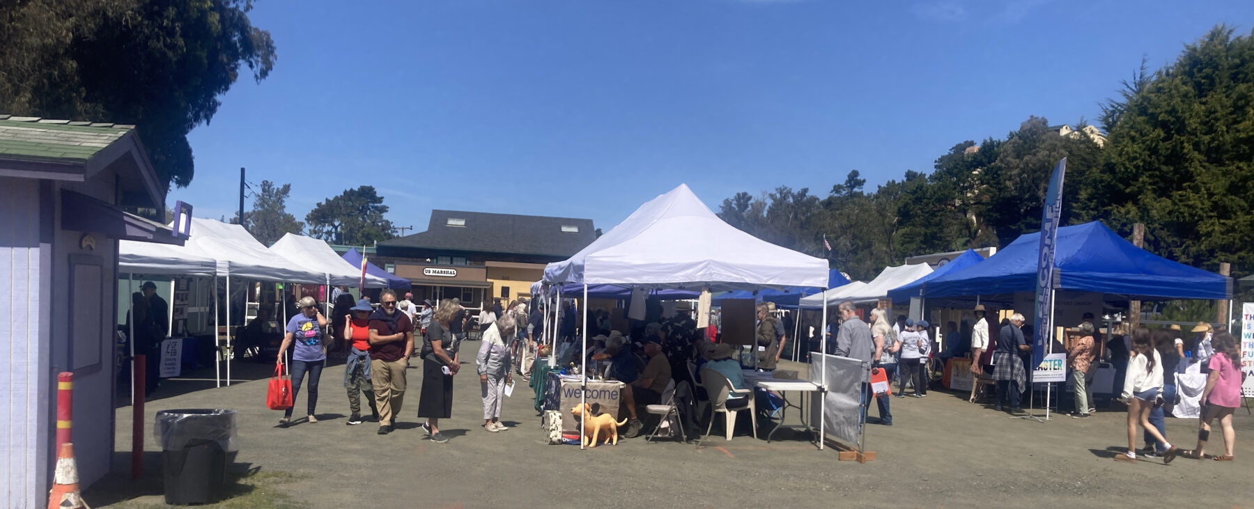 Discover Community in Cambria: Connect, Engage, Volunteer