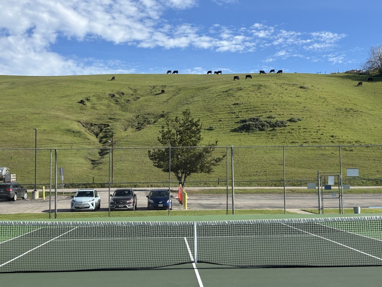 You Cannot Beat Tennis in Cambria